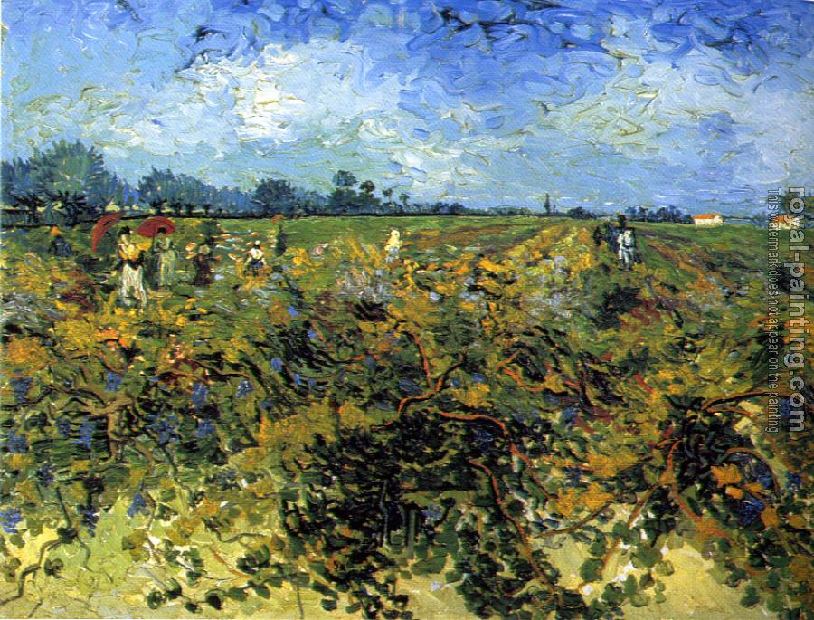 Vincent Van Gogh : The green vineyard